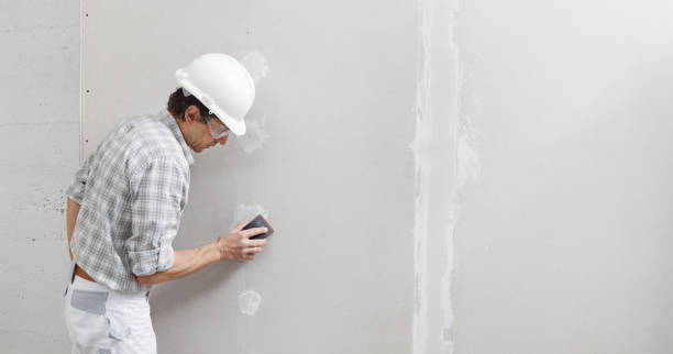 Best Stucco Painting  in Toronto, OH