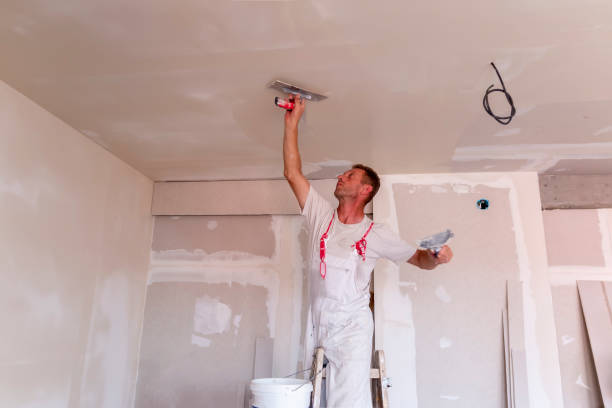 Best Acoustic or Soundproof Drywall Installation  in Toronto, OH